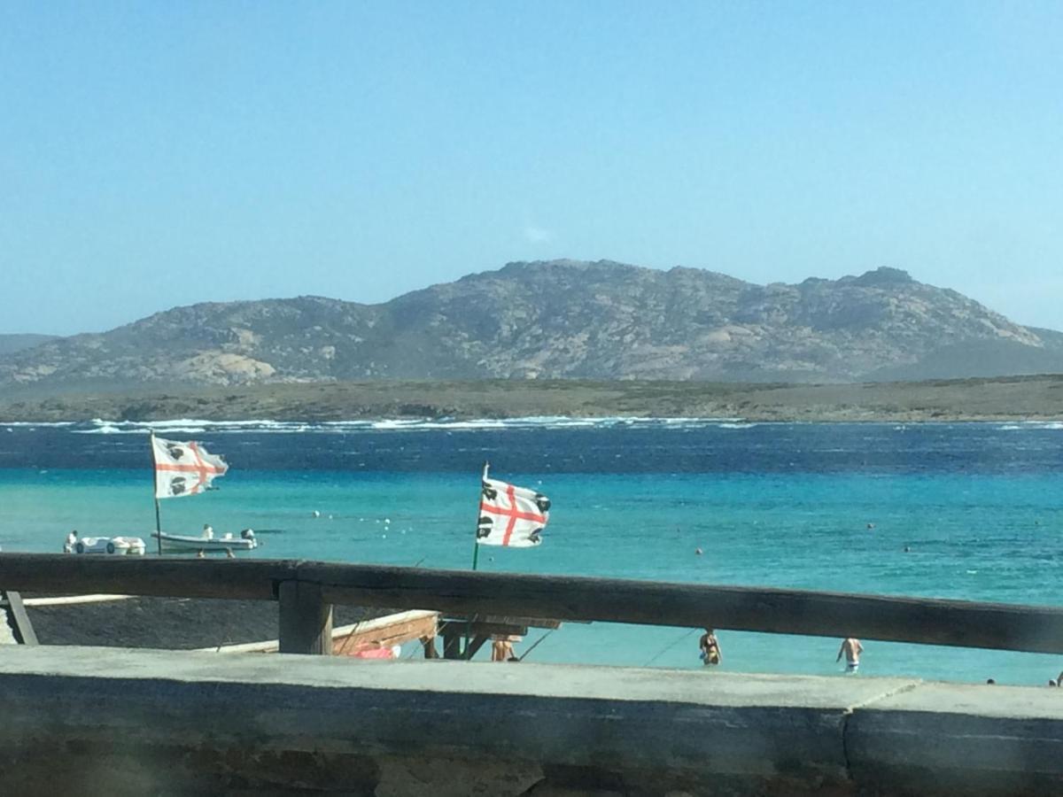 Casa Sul Mare Golfo Dell'Asinara I Διαμέρισμα Porto Torres Εξωτερικό φωτογραφία